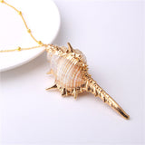 Sea Shell Necklace, Women's Jewelry