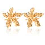 Docona Elegance Earring, Women's Jewelry