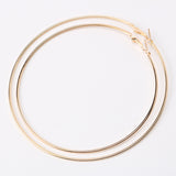 Big Hoop Earrings, Women's Jewelry