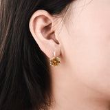Crystal Earrings, Women's Jewelry