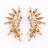 Wings Earrings, Women Jewelry