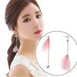 Butterfly Earrings, Women Jewelry