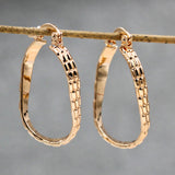 Large Hoop Earrings for Women's Jewelry