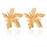 Docona Elegance Earring, Women's Jewelry