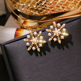 Jewelry earrings Fashion for women